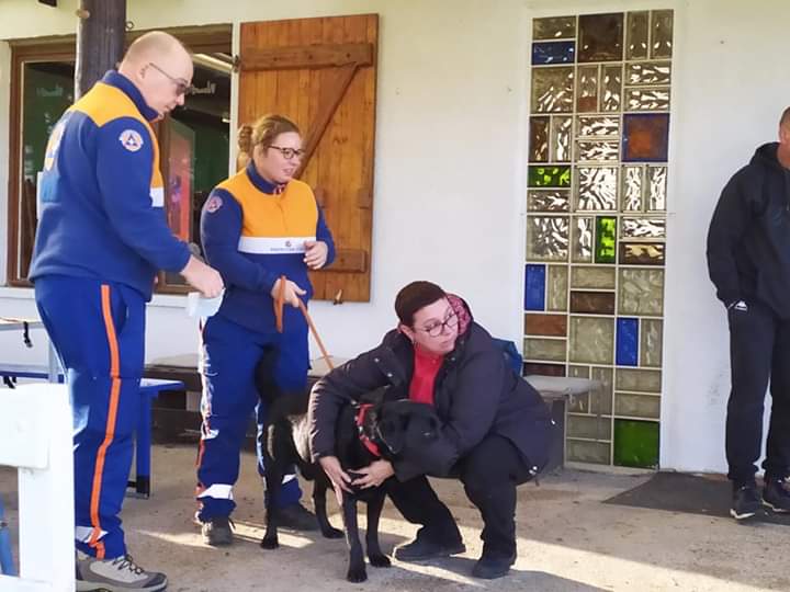 Formation secours canin